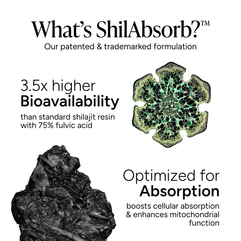 Nesaura Alpha Gummies